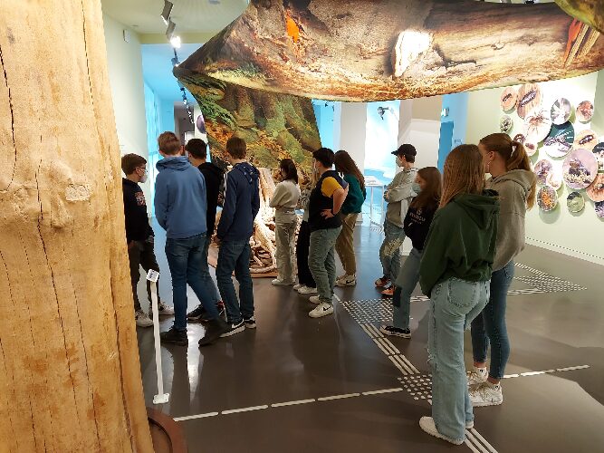 Auf dem Bild ist ein Teil der Klasse - in der Erlebnisausstellung Wildnisträume im Nationalpark Eifel - zu sehen.